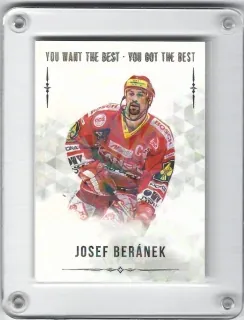 Beránek Josef OFS YWB-YGB 2018-19 Silver /22 č.26